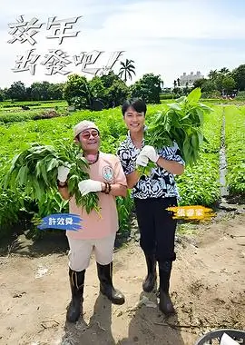 恋爱观察室